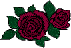 Two Roses